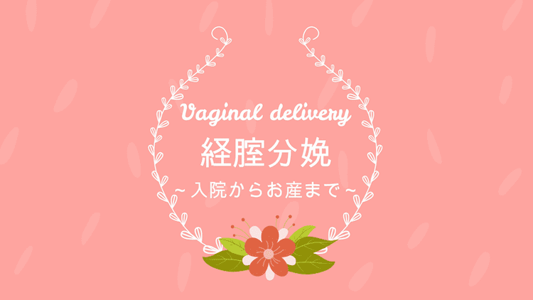 経膣分娩編